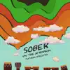 YN the Afropikin - Sober (feat. Afrolektra) - Single